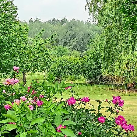 Les Chambres Du Vert Galant Rez De Jardin Verlinghem 외부 사진