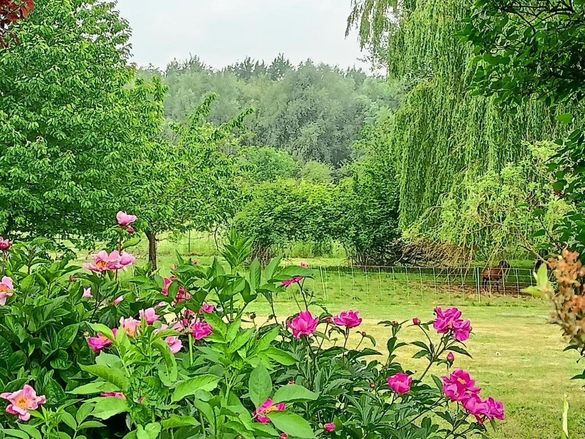 Les Chambres Du Vert Galant Rez De Jardin Verlinghem 외부 사진